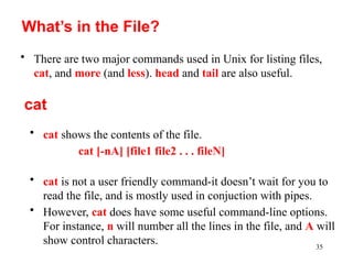 Introduction to Unix and Spring: Basic Line COmmands | PPTX
