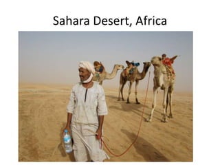 Sahara Desert, Africa
 