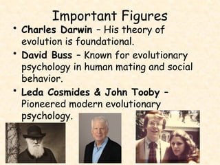 Comprehensive Overview of Psychology: History, Perspectives, and Key ...