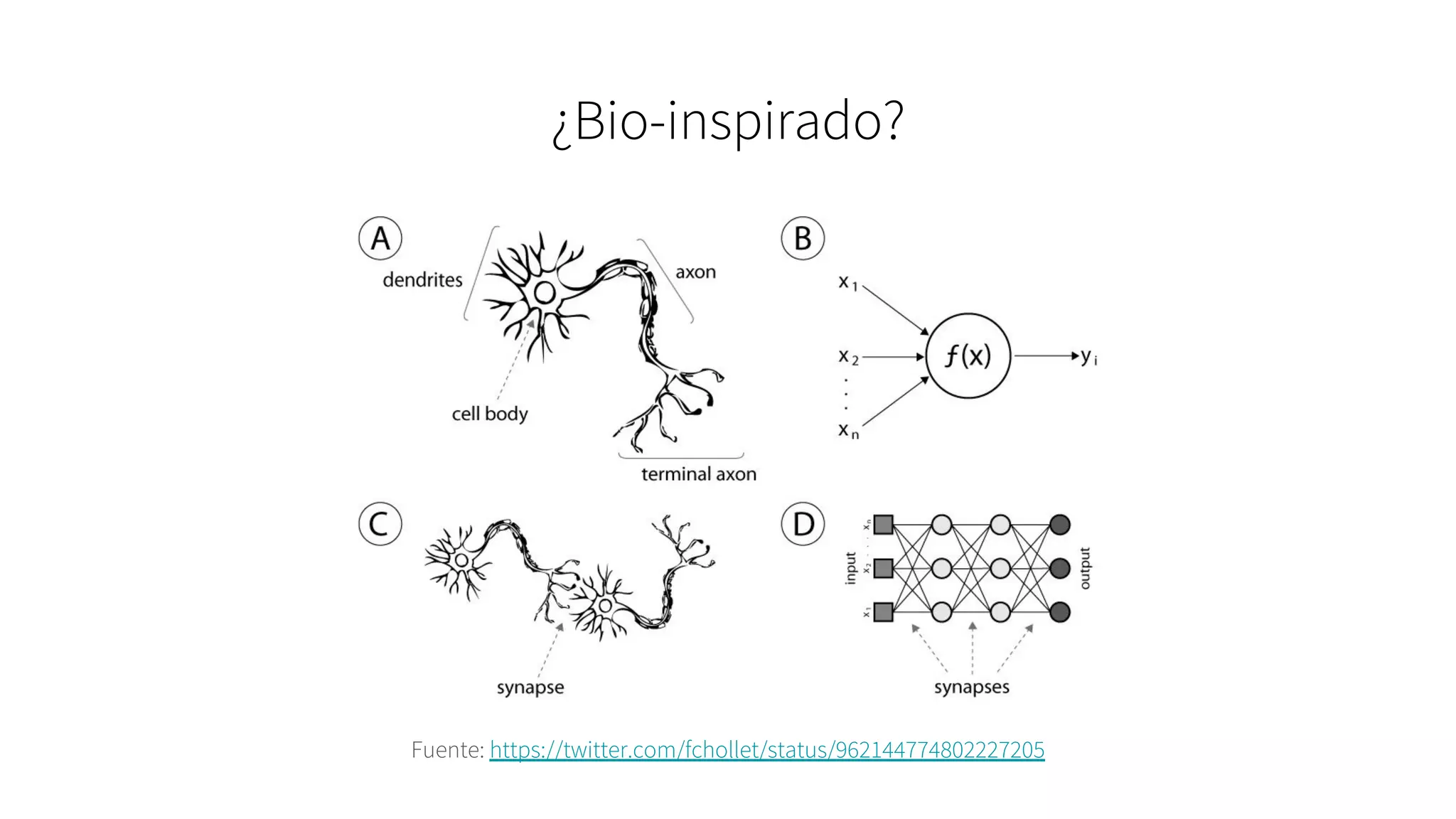 ¿Bio-inspirado?
Fuente: https://twitter.com/fchollet/status/962144774802227205
 