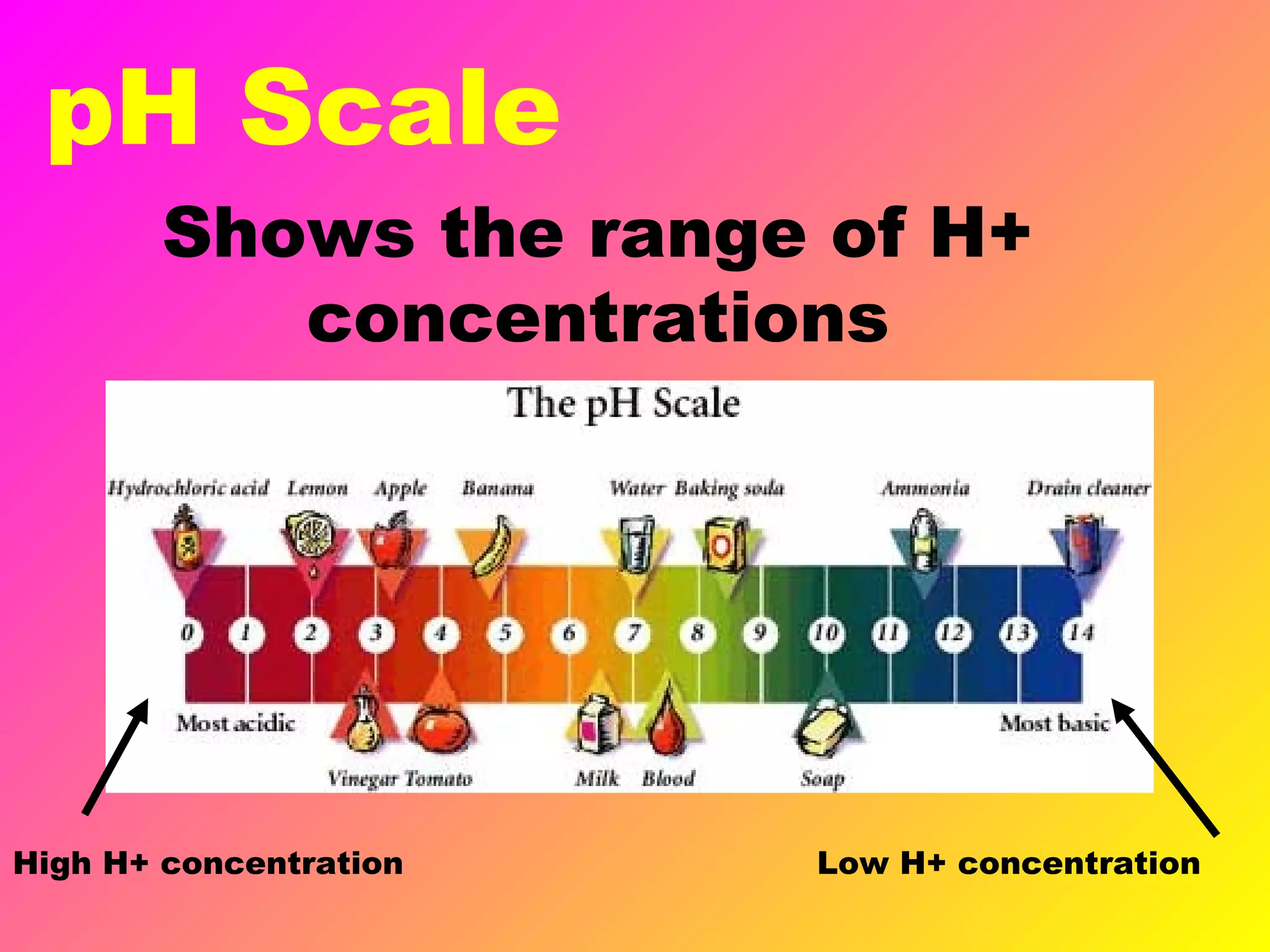 pH Scale
Shows the range of H+
concentrations
High H+ concentration Low H+ concentration
 