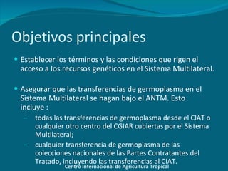 Uso del Acuerdo Normalizado