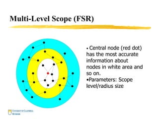 Multi-Level Scope (FSR)
• Central node (red dot)
has the most accurate
information about
nodes in white area and
so on.
•Parameters: Scope
level/radius size
 