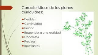 Características de los planes
curriculares:
Flexibles
Continuidad
Unidad
Responder a una realidad
Concretos
Precisos
Relevantes
 