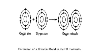 Introduction to Anatomy and Physiology . | PPTX