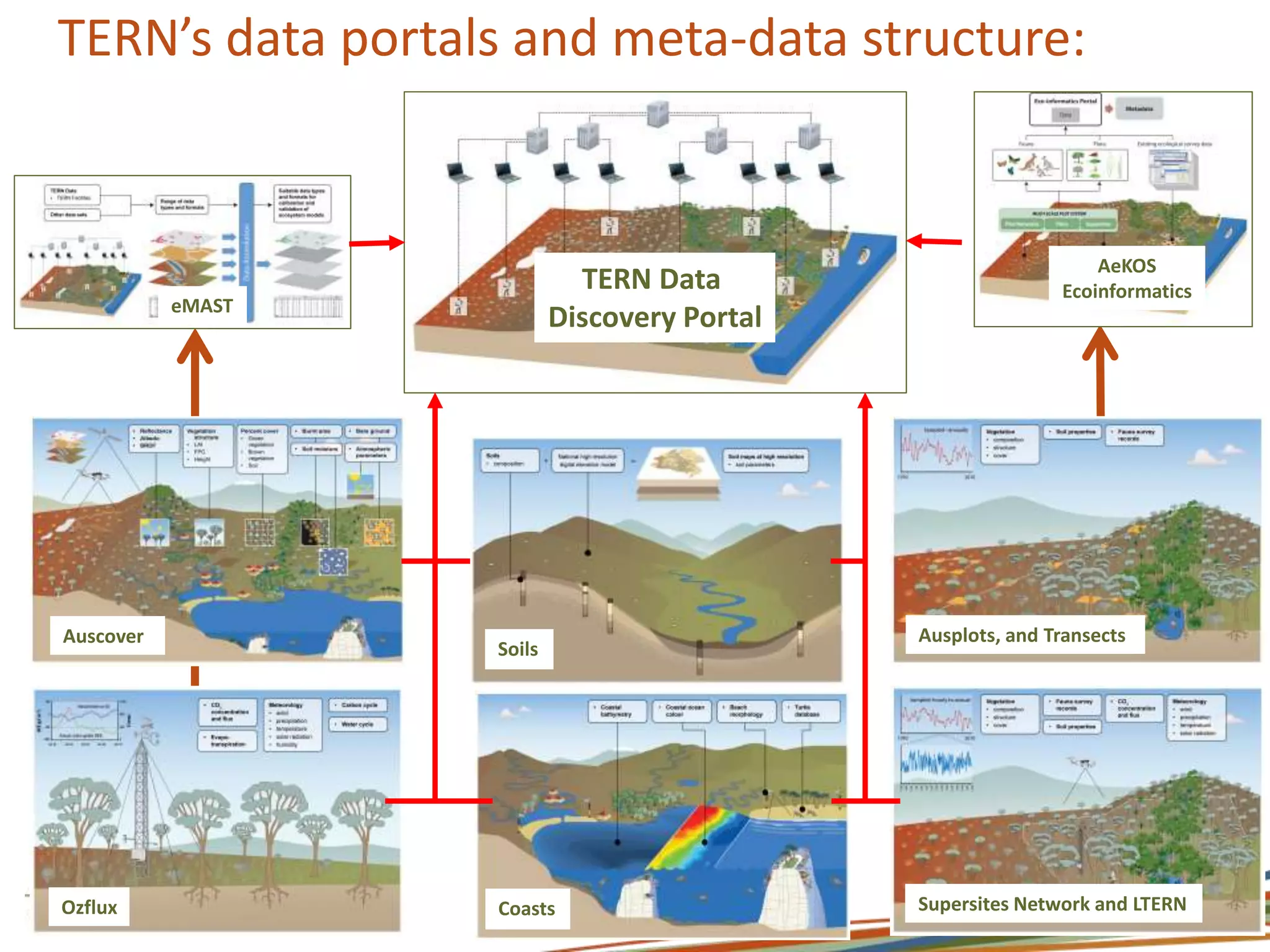 TERN’s data portals and meta-data structure: 
Auscover 
Ozflux 
Ausplots, and Transects 
Soils 
Coasts 
Supersites Network and LTERN 
eMAST 
AeKOS 
Ecoinformatics TERN Data 
Discovery Portal 
 