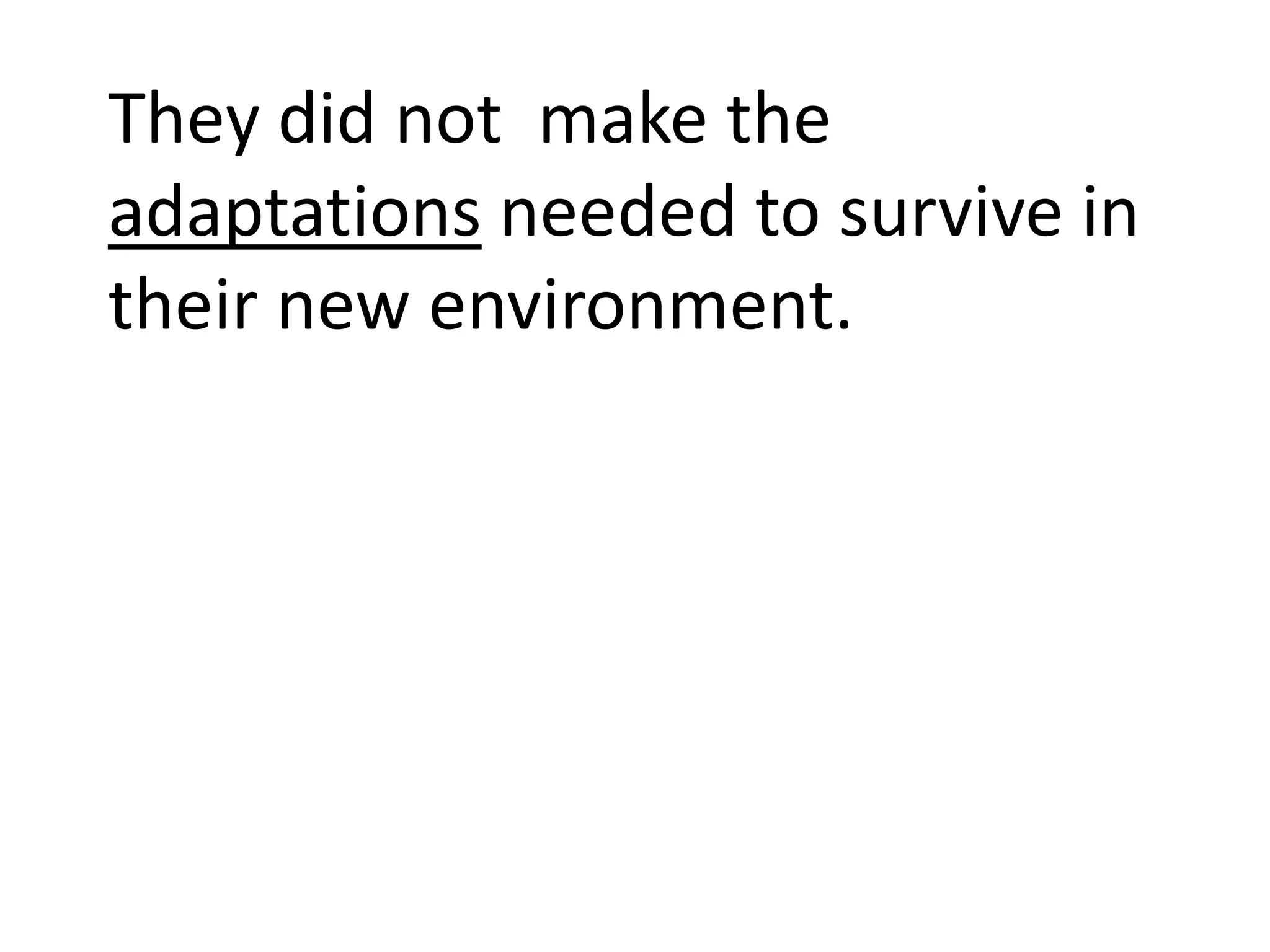 They did not make the
adaptations needed to survive in
their new environment.
 