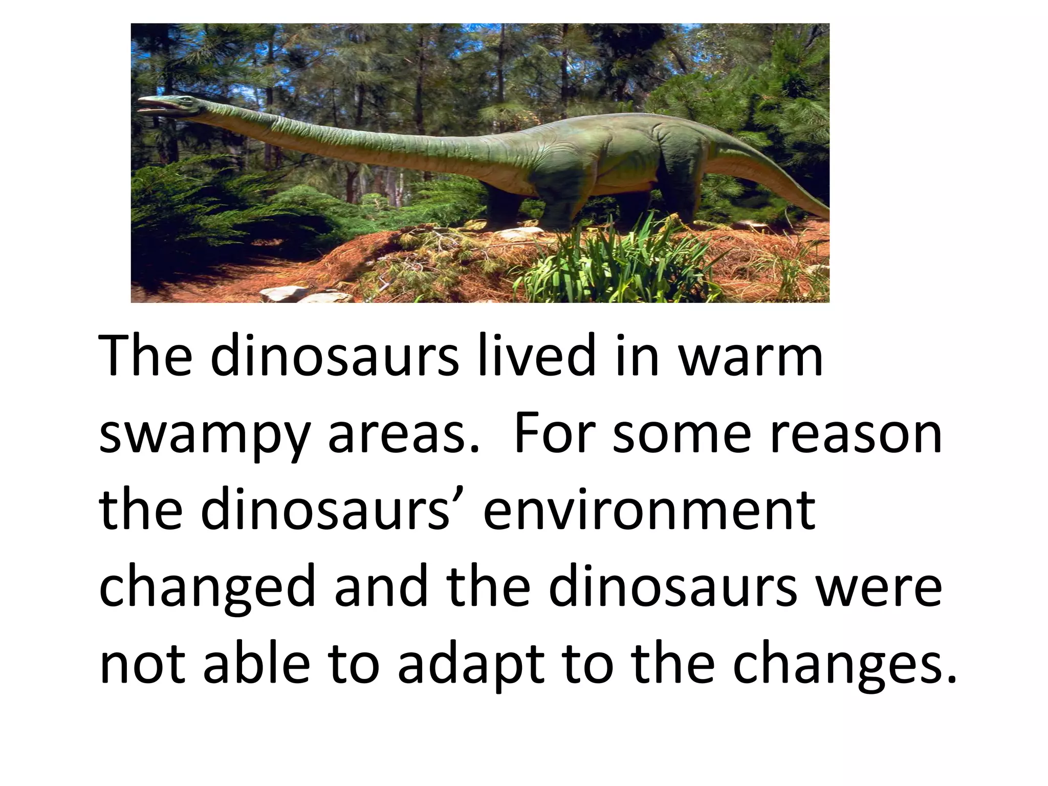 The dinosaurs lived in warm
swampy areas. For some reason
the dinosaurs’ environment
changed and the dinosaurs were
not able to adapt to the changes.
 