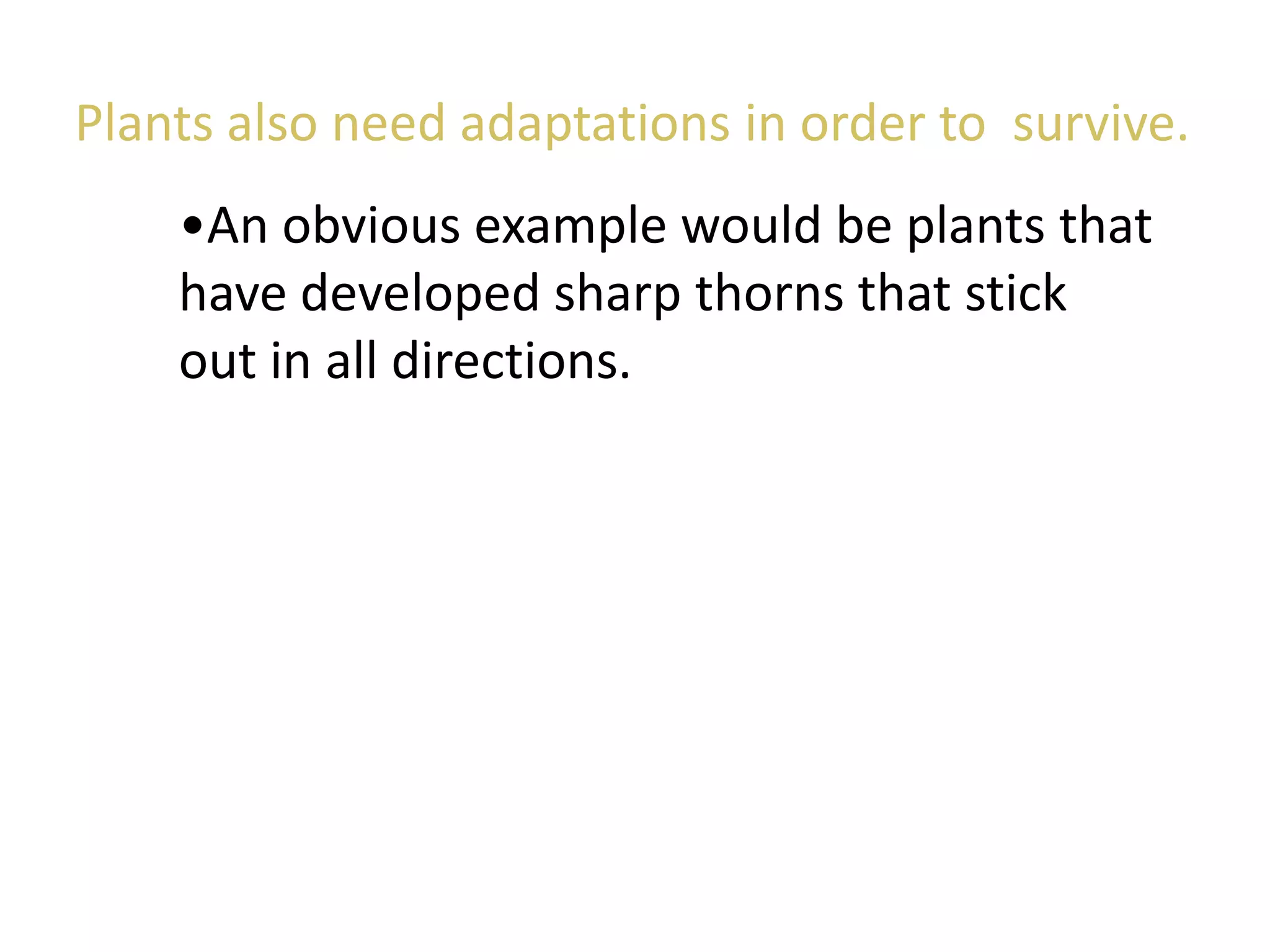 •An obvious example would be plants that
have developed sharp thorns that stick
out in all directions.
Plants also need adaptations in order to survive.
 