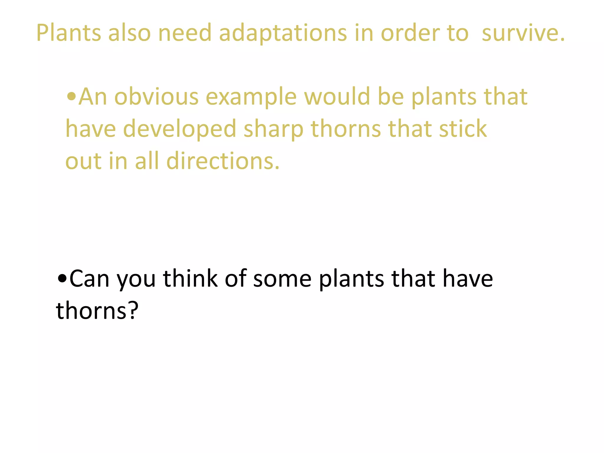 •An obvious example would be plants that
have developed sharp thorns that stick
out in all directions.
•Can you think of some plants that have
thorns?
Plants also need adaptations in order to survive.
 