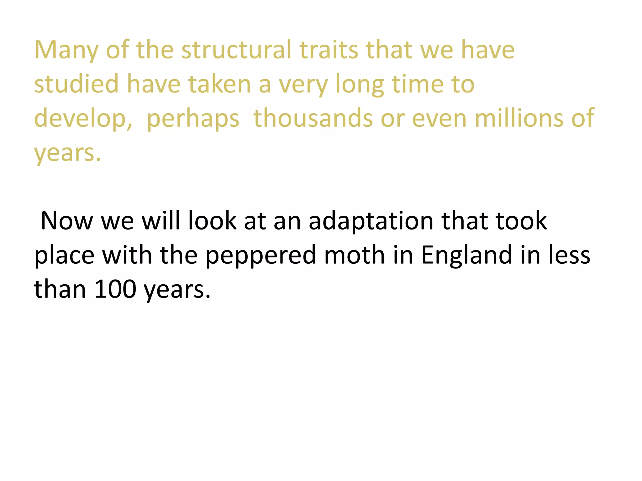 Many of the structural traits that we have
studied have taken a very long time to
develop, perhaps thousands or even millions of
years.
Now we will look at an adaptation that took
place with the peppered moth in England in less
than 100 years.
 