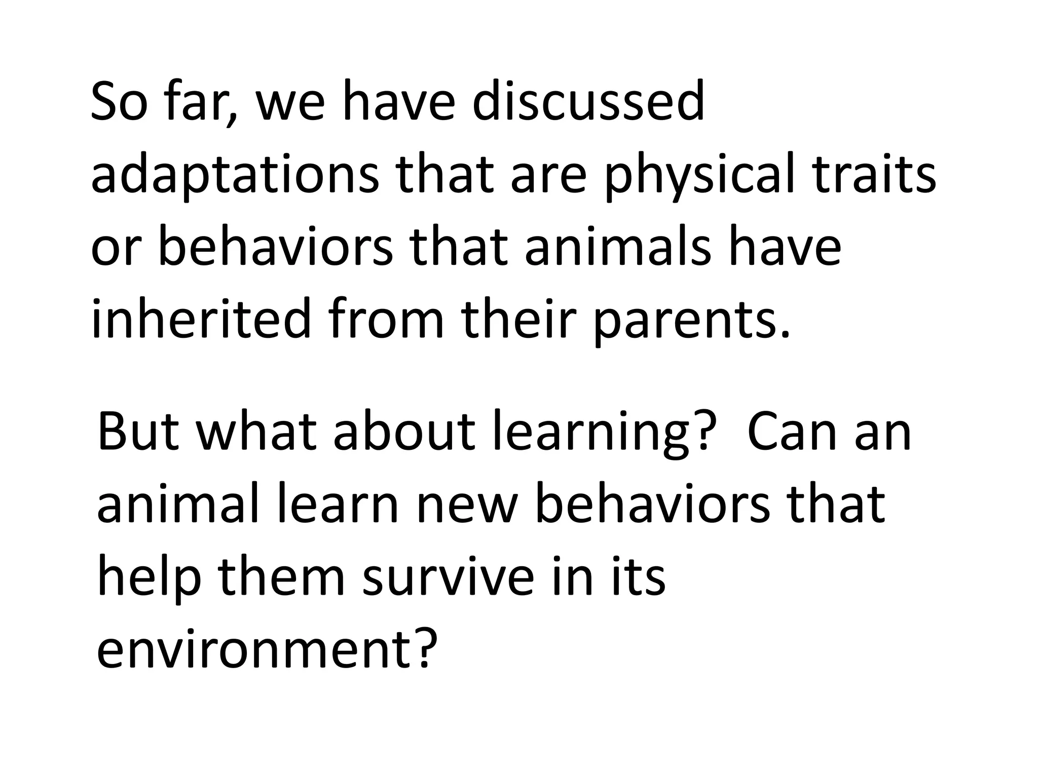 So far, we have discussed
adaptations that are physical traits
or behaviors that animals have
inherited from their parents.
But what about learning? Can an
animal learn new behaviors that
help them survive in its
environment?
 
