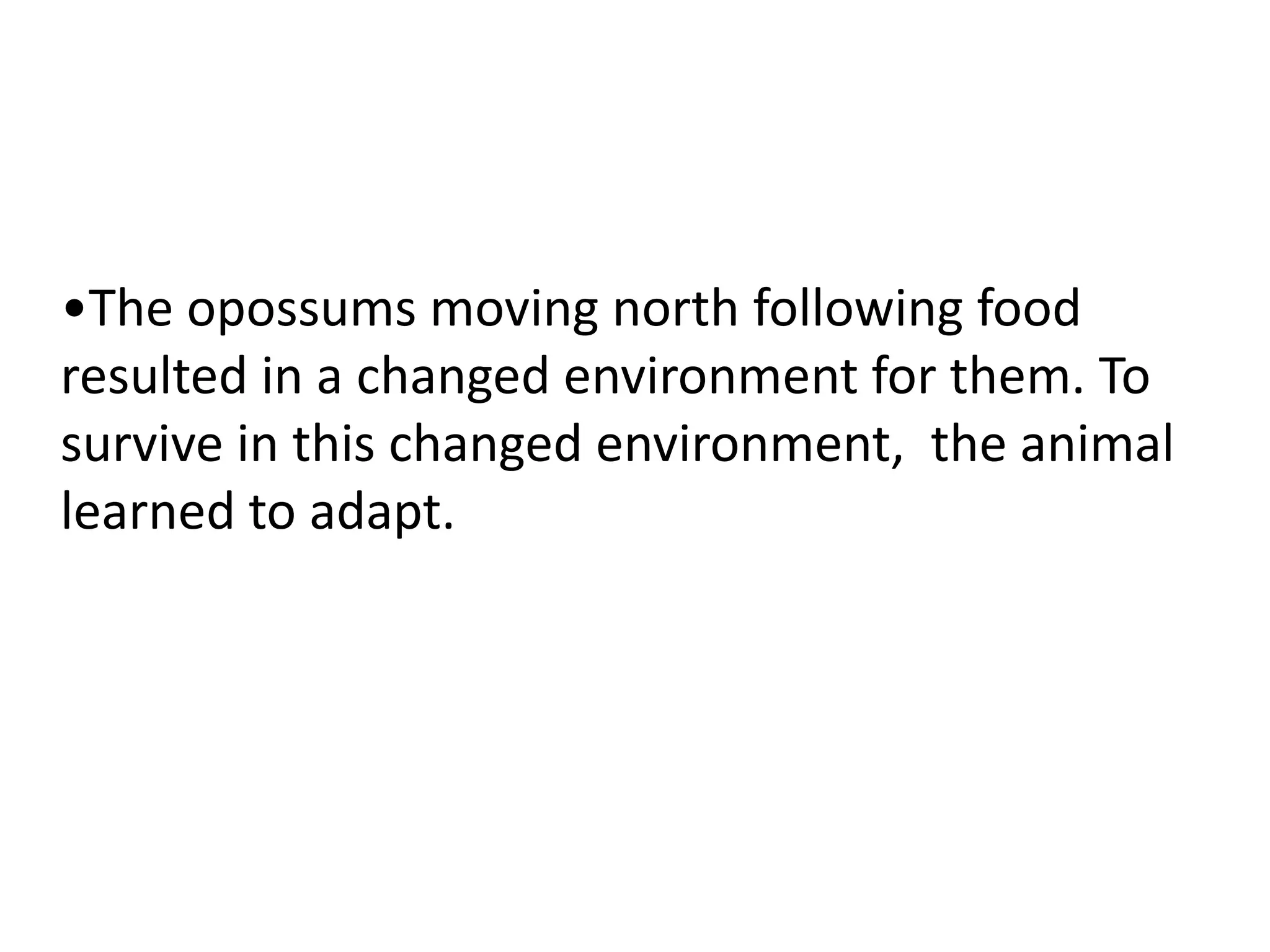 •The opossums moving north following food
resulted in a changed environment for them. To
survive in this changed environment, the animal
learned to adapt.
 