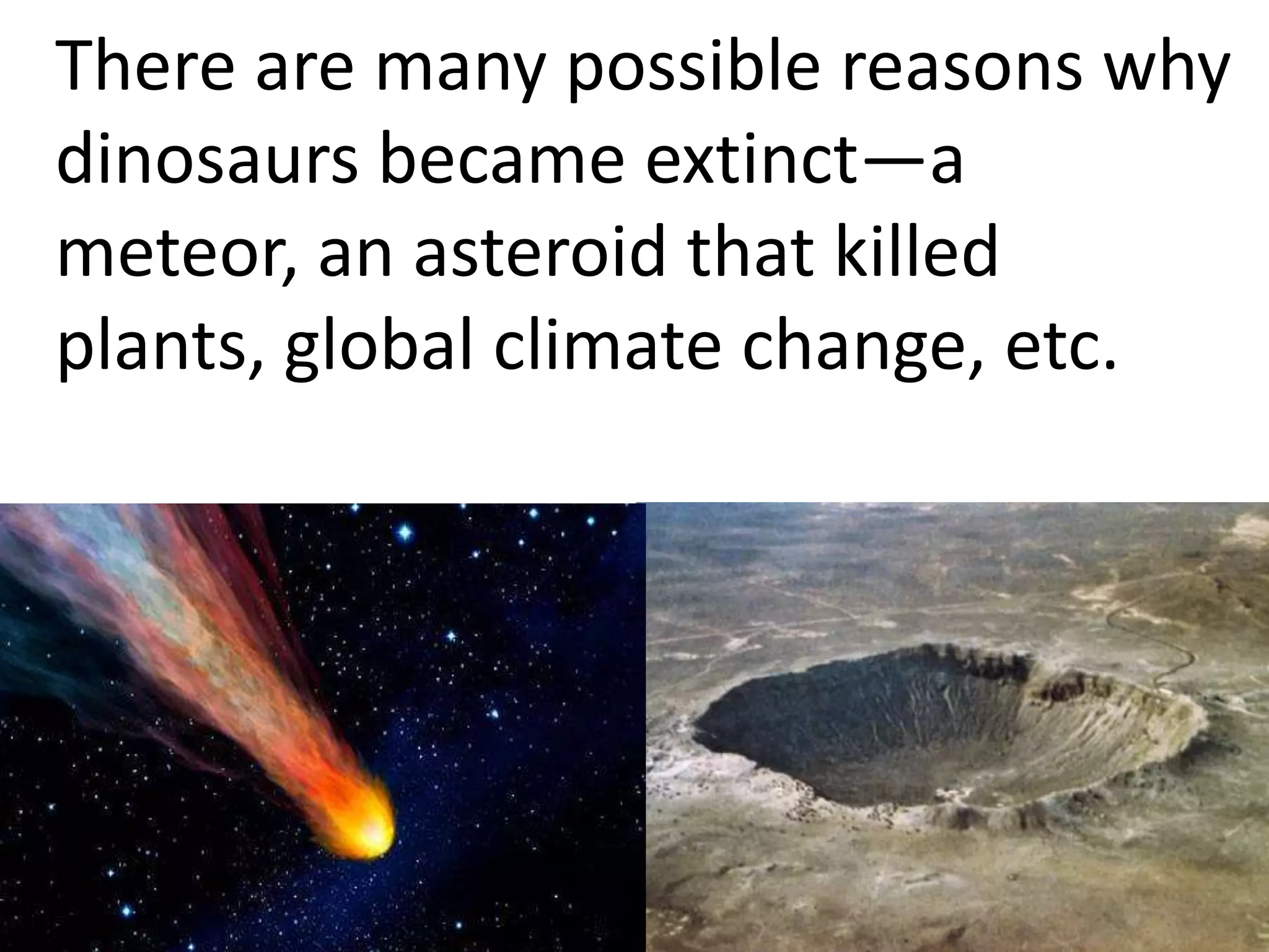 There are many possible reasons why
dinosaurs became extinct—a
meteor, an asteroid that killed
plants, global climate change, etc.
 