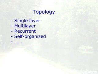Topology
- Single layer
- Multilayer
- Recurrent
- Self-organized
- . . .
 