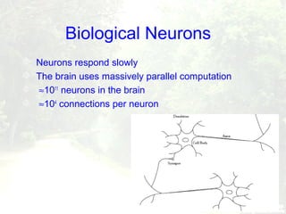 Biological Neurons
 Neurons respond slowly
 The brain uses massively parallel computation
 ≈1011
neurons in the brain
 ≈104
connections per neuron
 
