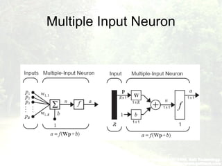 Multiple Input Neuron
 