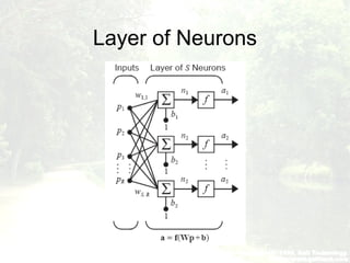 Layer of Neurons
 