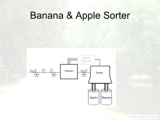 Banana & Apple Sorter
 