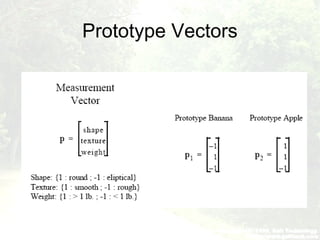 Prototype Vectors
 