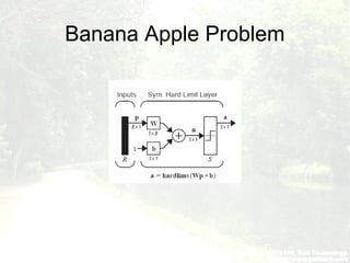 Banana Apple Problem
 