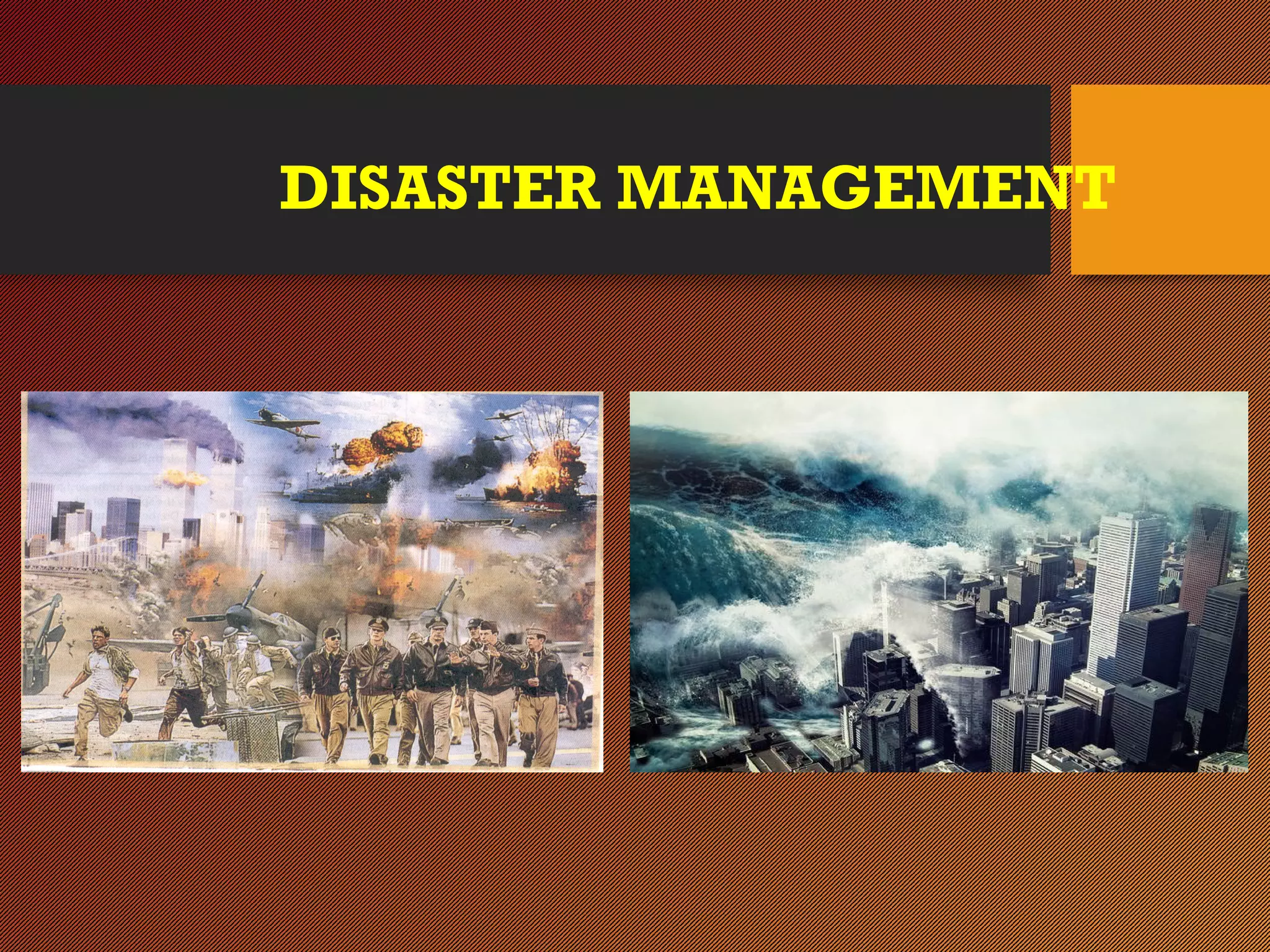DISASTER MANAGEMENT
 