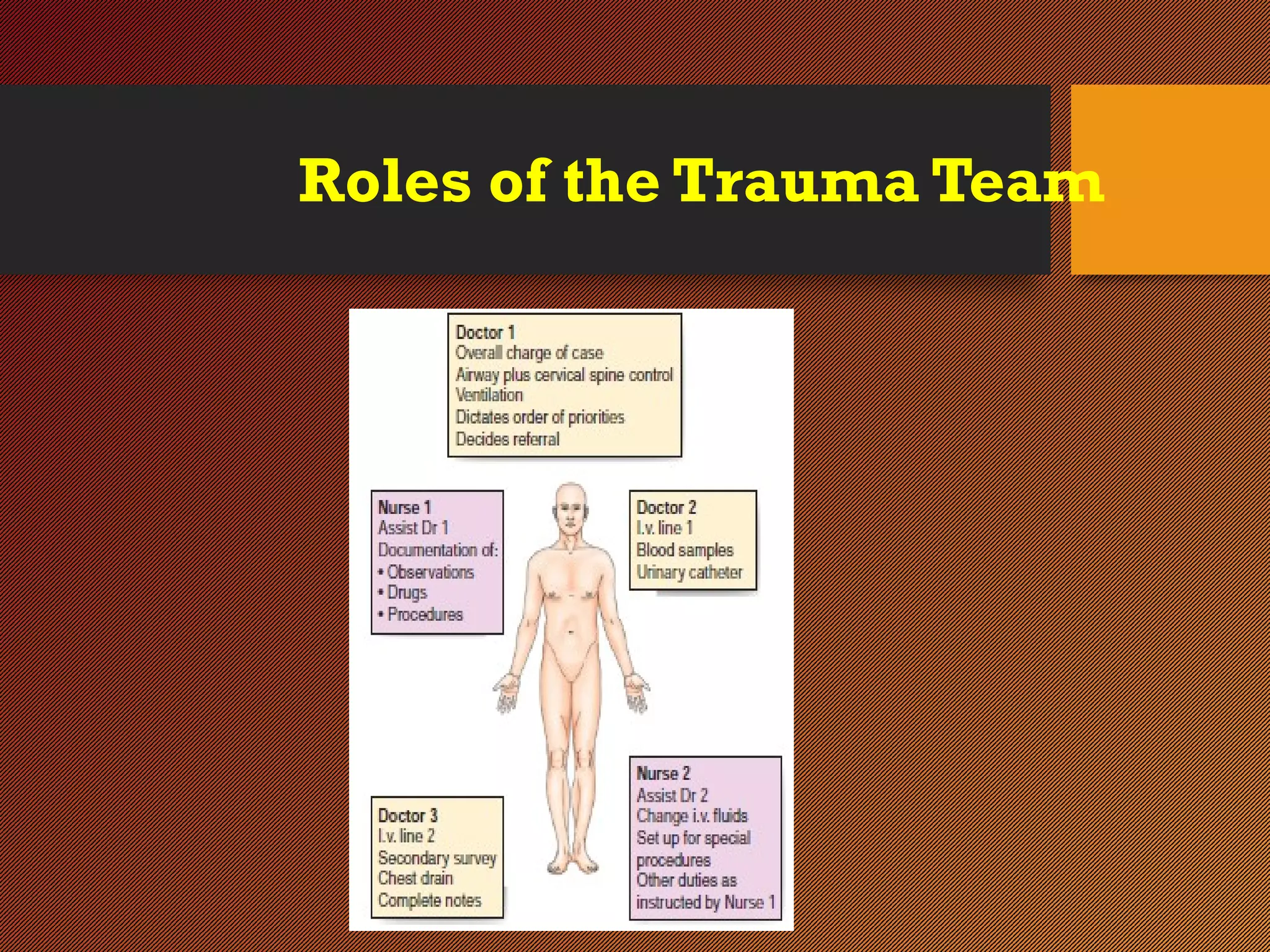 Roles of the Trauma Team
 