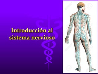 Introducción al
sistema nervioso
 