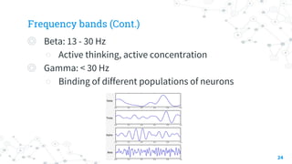 Frequency bands (Cont.)
◎ Beta: 13 - 30 Hz
○ Active thinking, active concentration
◎ Gamma: < 30 Hz
○ Binding of different populations of neurons
24
 