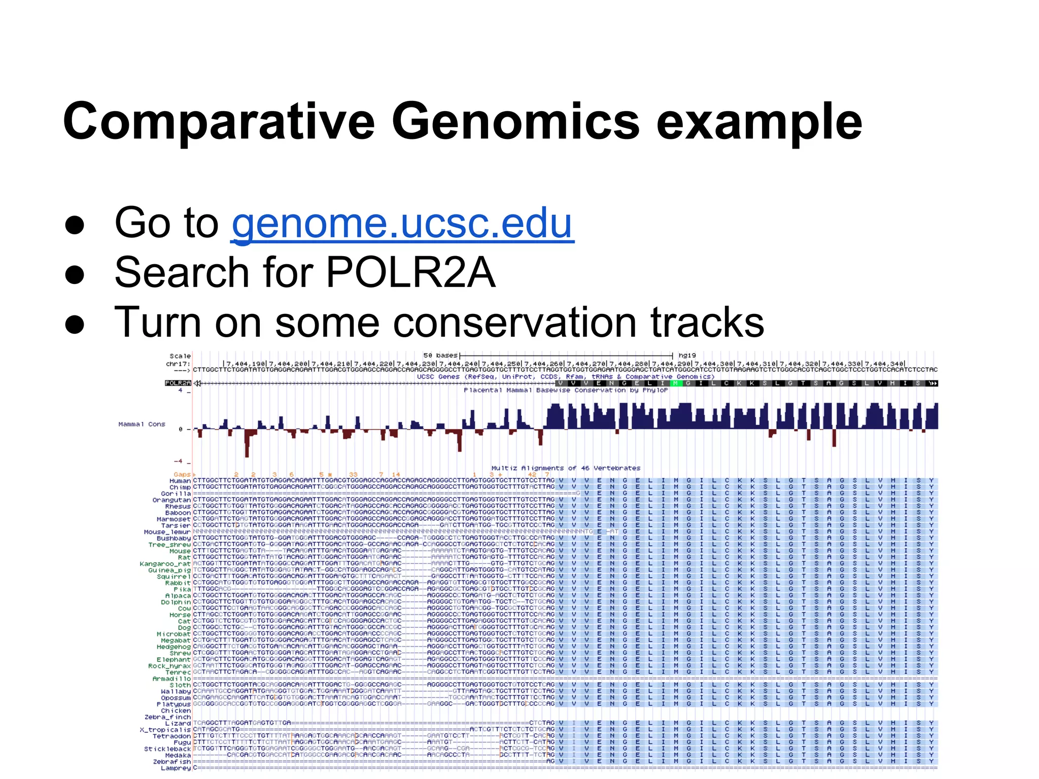 Comparative Genomics example
● Go to genome.ucsc.edu
● Search for POLR2A
● Turn on some conservation tracks
 