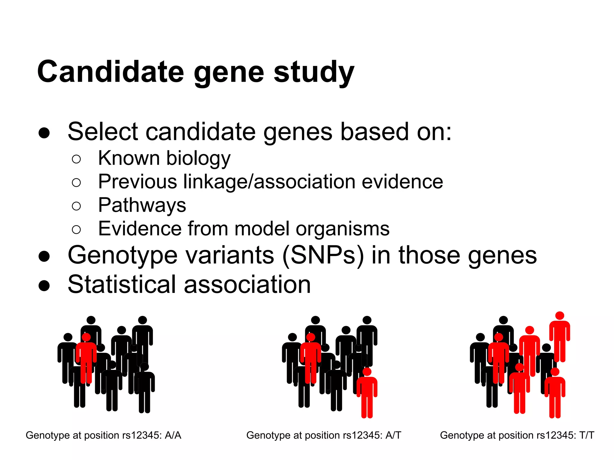 Candidate gene study
  ● Select candidate genes based on:
         ○     Known biology
         ○     Previous linkage/association evidence
         ○     Pathways
         ○     Evidence from model organisms
  ● Genotype variants (SNPs) in those genes
  ● Statistical association




Genotype at position rs12345: A/A   Genotype at position rs12345: A/T   Genotype at position rs12345: T/T
 