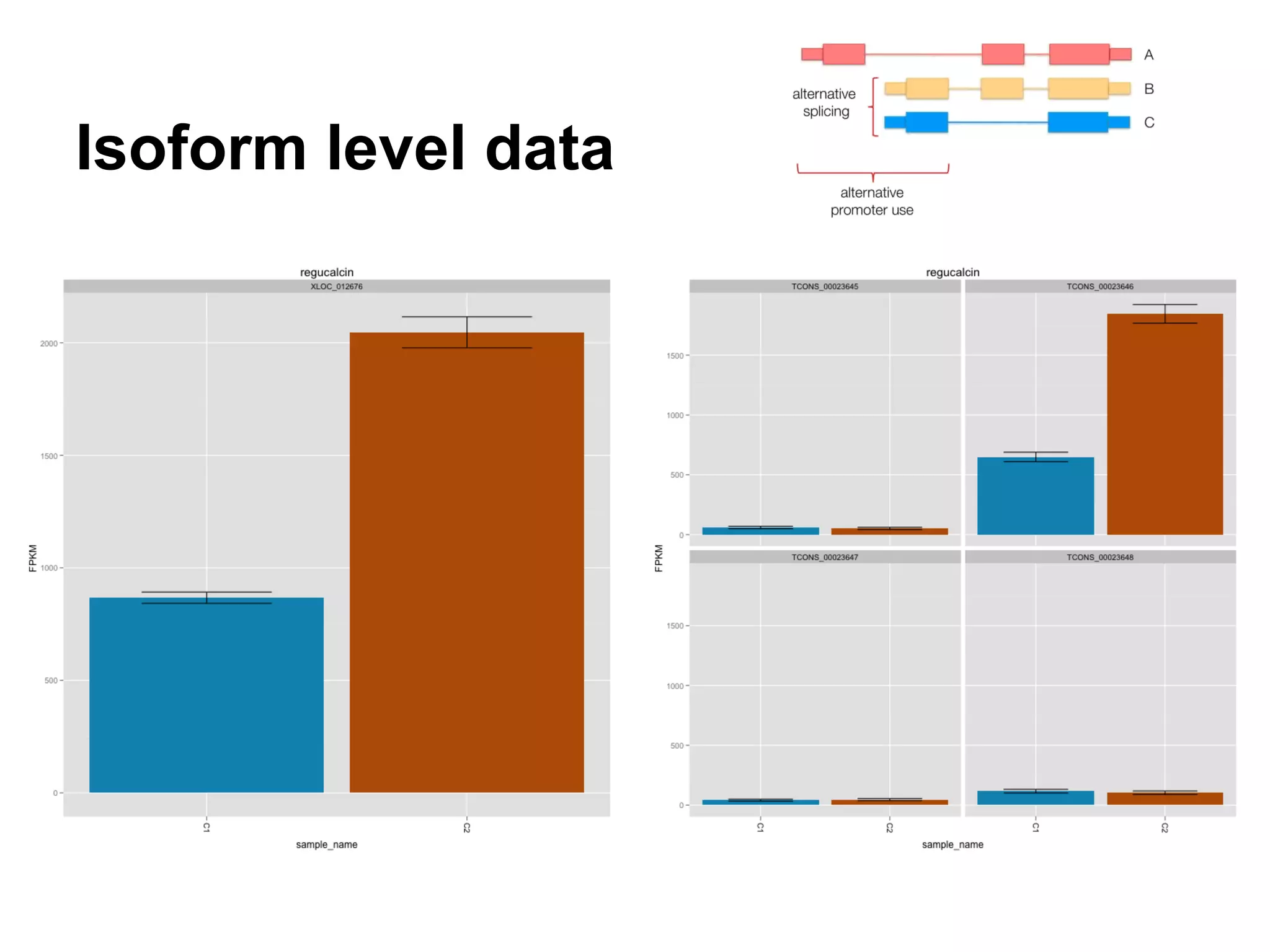 Isoform level data
 