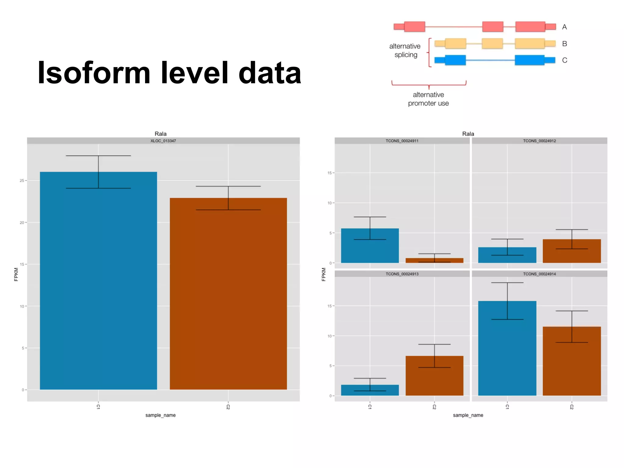 Isoform level data
 
