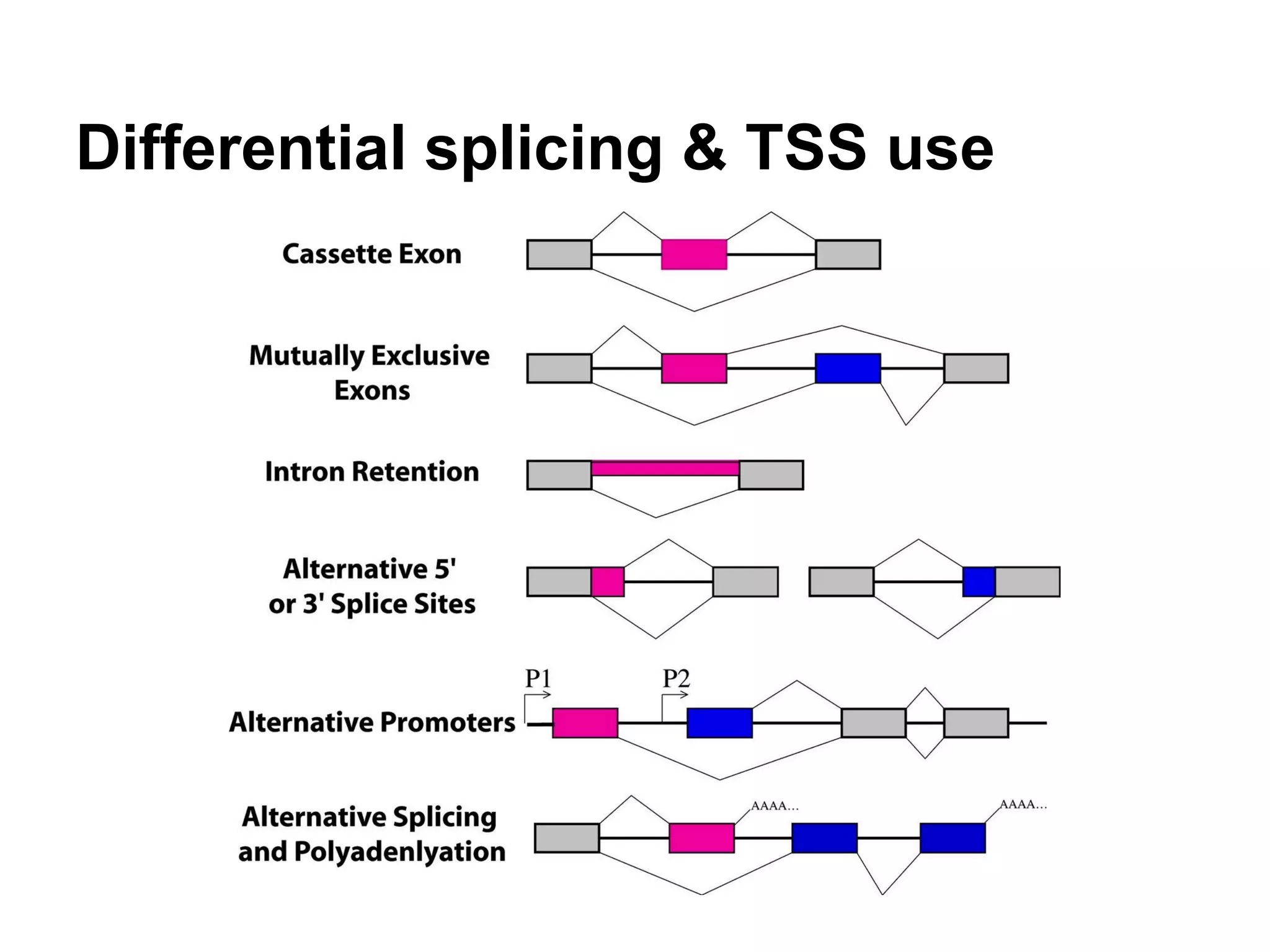 Differential splicing & TSS use
 