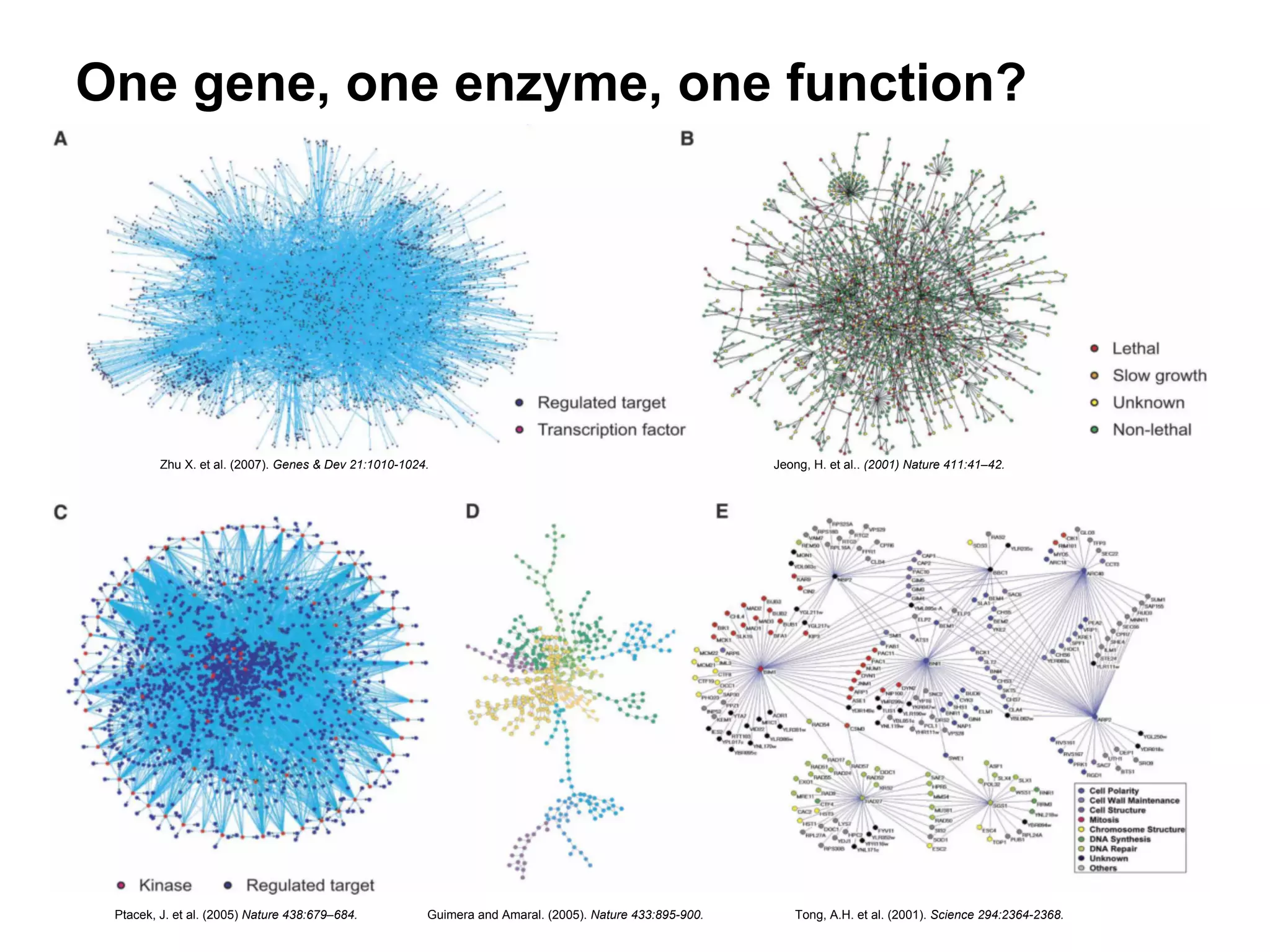 One gene, one enzyme, one function?




         Zhu X. et al. (2007). Genes & Dev 21:1010-1024.                                                 Jeong, H. et al.. (2001) Nature 411:41–42.




 Ptacek, J. et al. (2005) Nature 438:679–684.          Guimera and Amaral. (2005). Nature 433:895-900.      Tong, A.H. et al. (2001). Science 294:2364-2368.
 