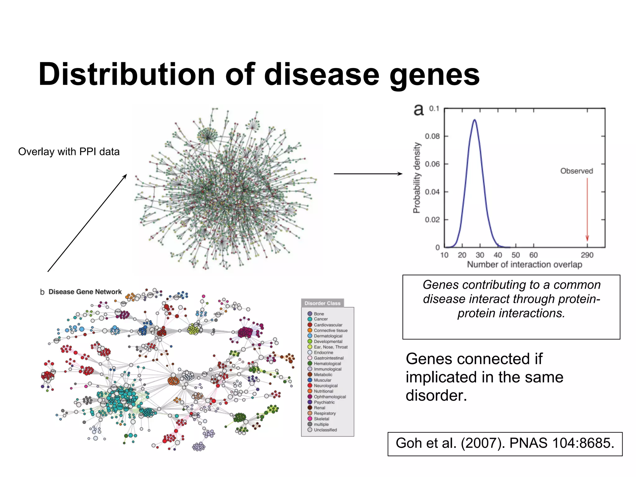 Distribution of disease genes

Overlay with PPI data




                              Genes contributing to a common
                              disease interact through protein-
                                    protein interactions.


                            Genes connected if
                            implicated in the same
                            disorder.

                           Goh et al. (2007). PNAS 104:8685.
 