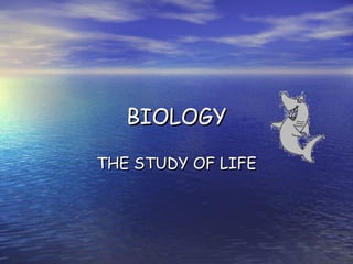 BIOLOGY THE STUDY OF LIFE 