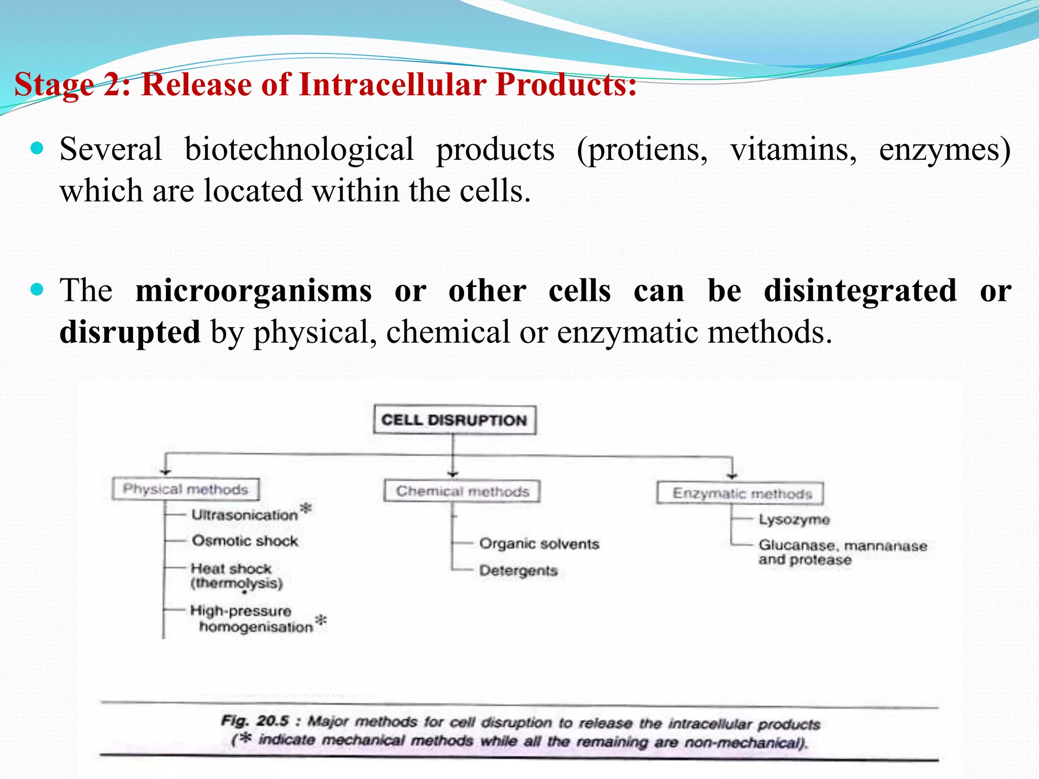 Introduction to bioprocess Engineering