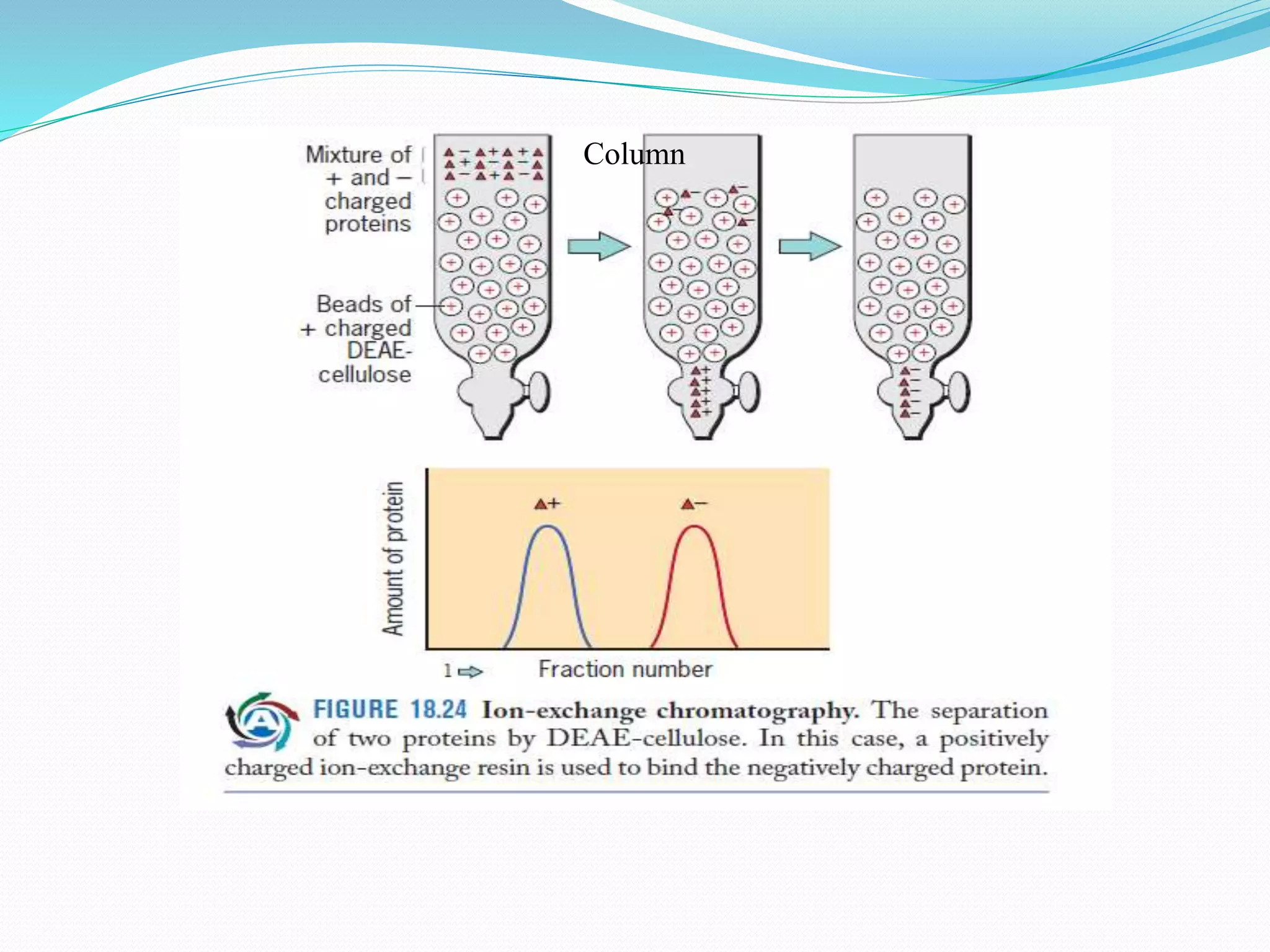 Introduction to bioprocess Engineering