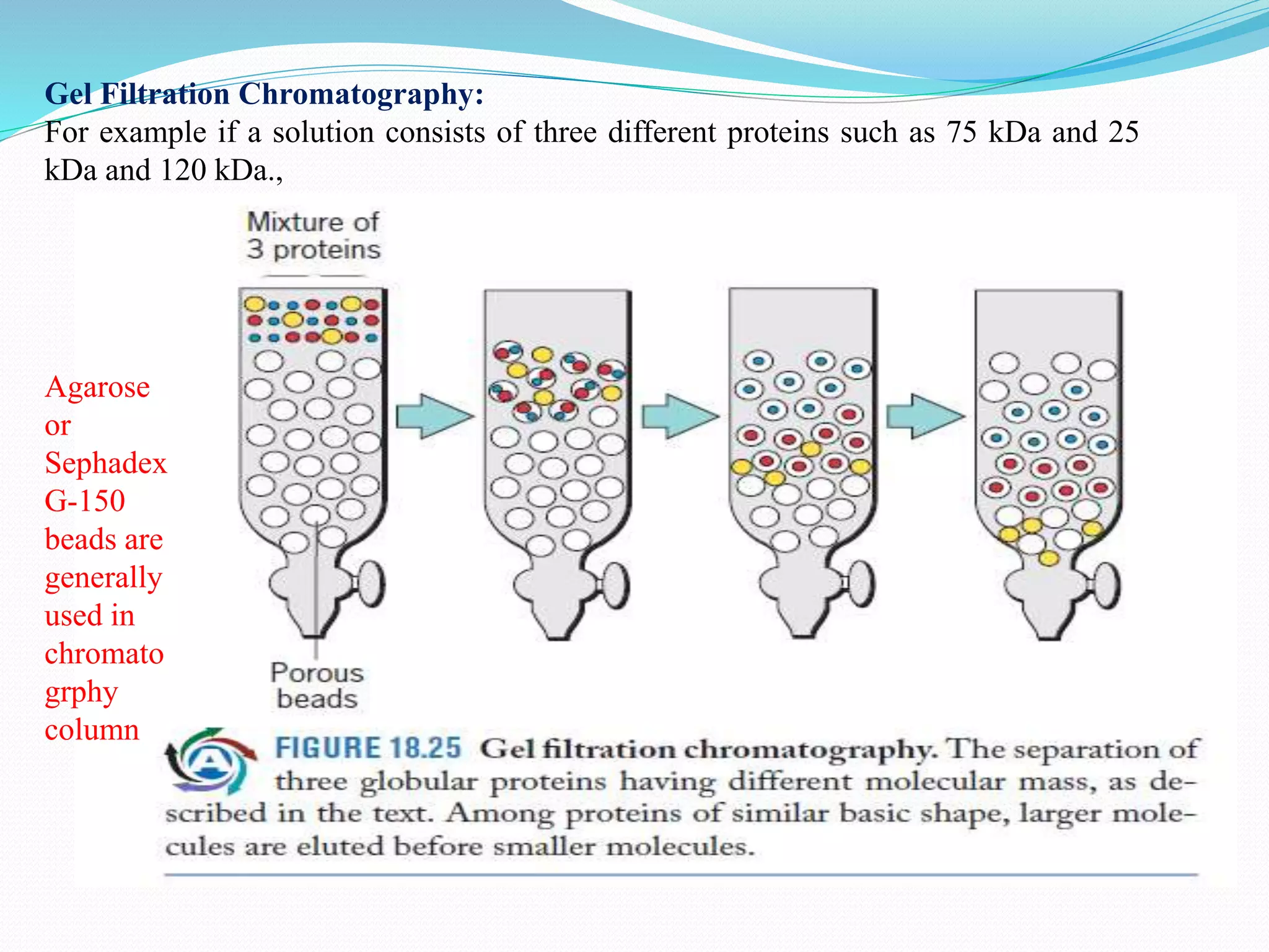 Introduction to bioprocess Engineering