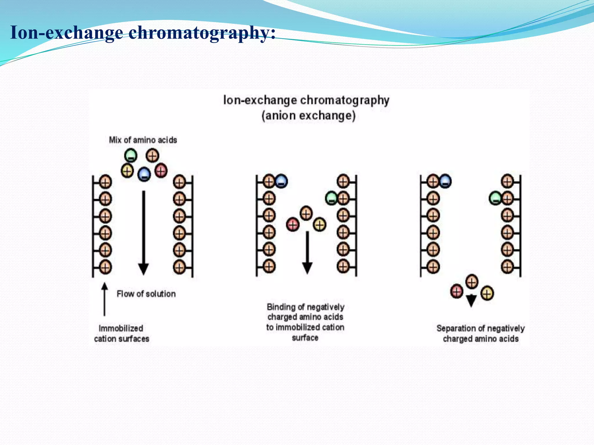 Introduction to bioprocess Engineering