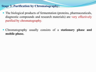 Introduction to bioprocess Engineering | PPTX