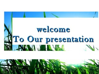 welcomewelcome
To Our presentationTo Our presentation
 