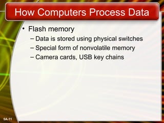 Comprehensive Overview of Computer Data Representation and Processing ...