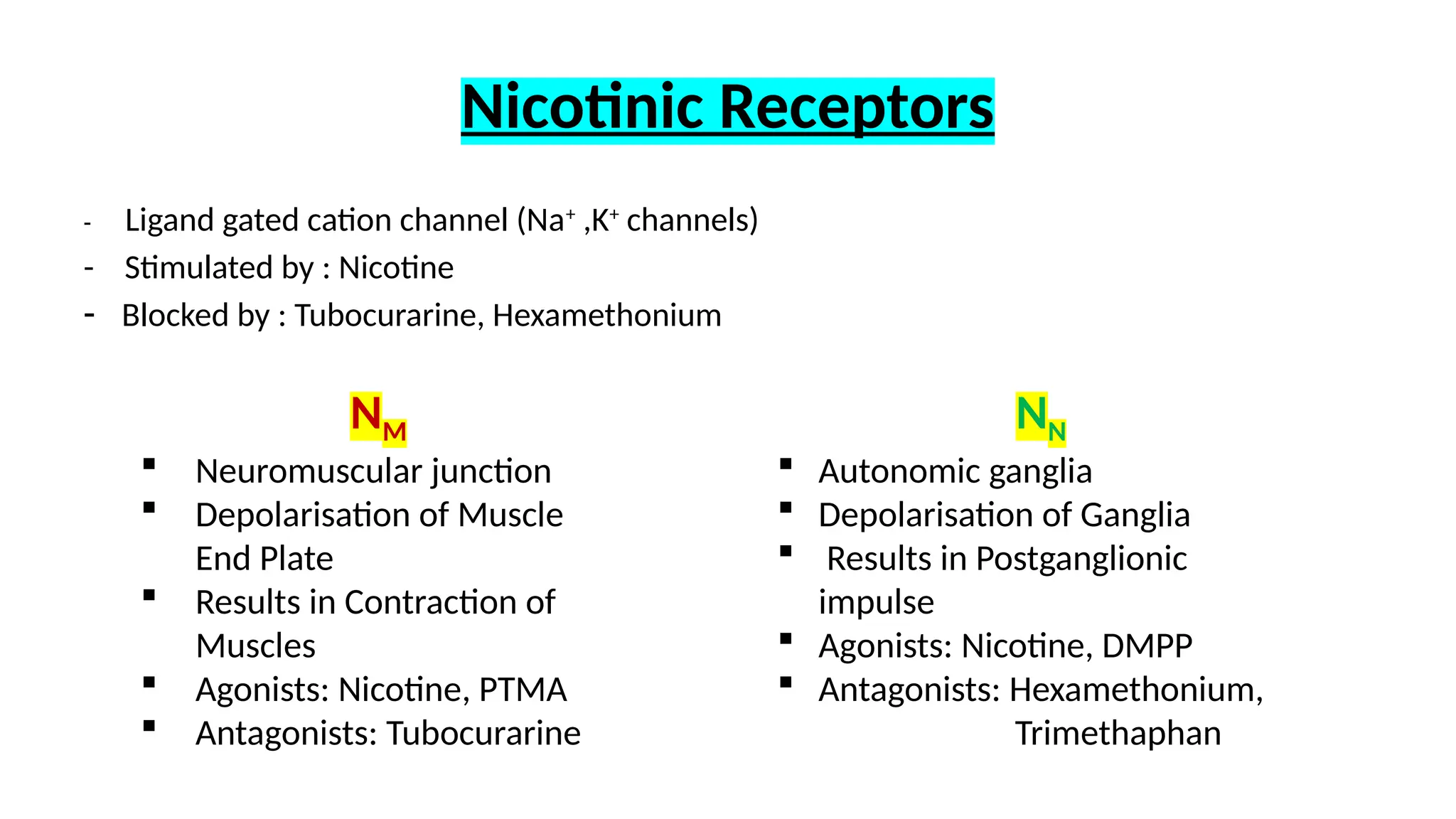Nicotinic Receptors
- Ligand gated cation channel (Na+
,K+
channels)
- Stimulated by : Nicotine
- Blocked by : Tubocurarine, Hexamethonium
NM
 Neuromuscular junction
 Depolarisation of Muscle
End Plate
 Results in Contraction of
Muscles
 Agonists: Nicotine, PTMA
 Antagonists: Tubocurarine
NN
 Autonomic ganglia
 Depolarisation of Ganglia
 Results in Postganglionic
impulse
 Agonists: Nicotine, DMPP
 Antagonists: Hexamethonium,
Trimethaphan
 
