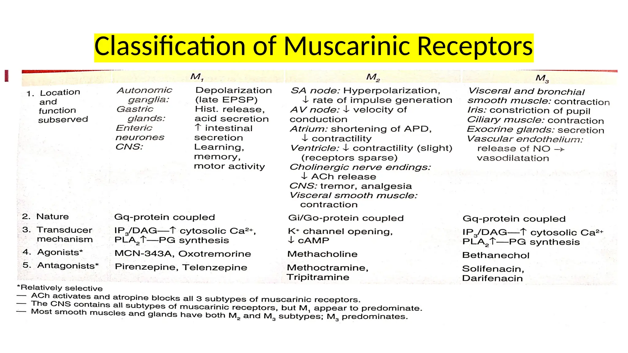 Classification of Muscarinic Receptors
 