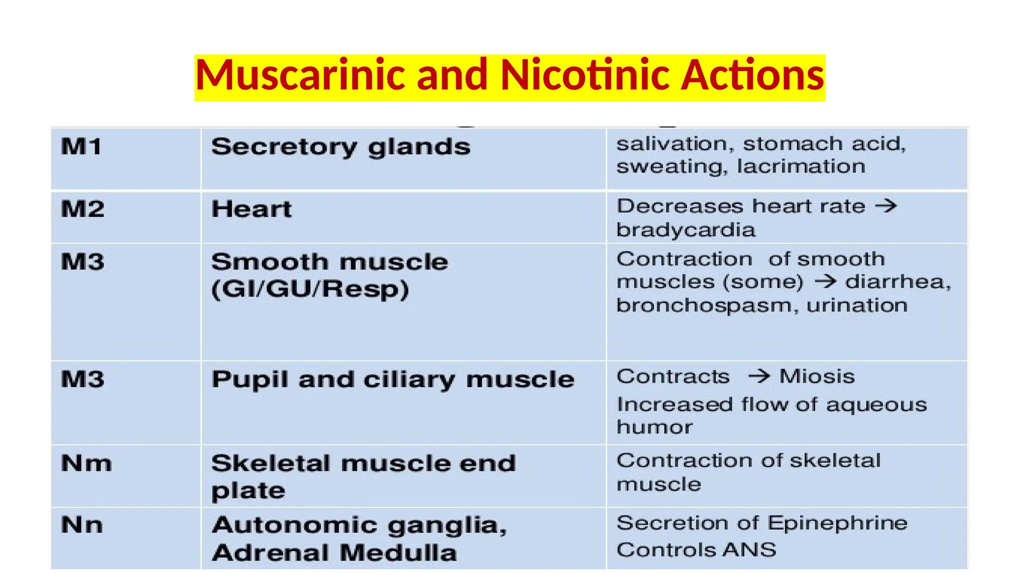 Muscarinic and Nicotinic Actions
 