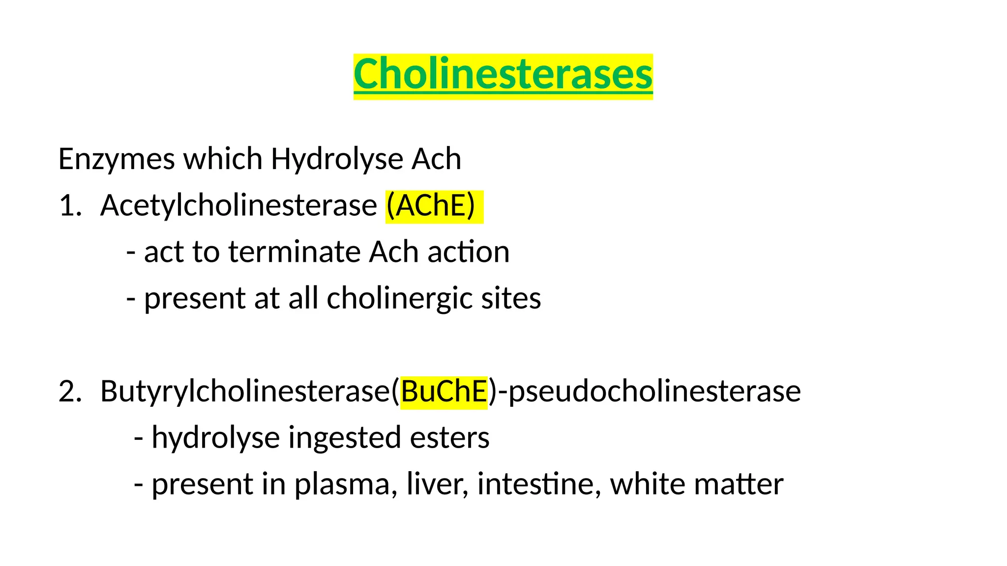 Cholinesterases
Enzymes which Hydrolyse Ach
1. Acetylcholinesterase (AChE)
- act to terminate Ach action
- present at all cholinergic sites
2. Butyrylcholinesterase(BuChE)-pseudocholinesterase
- hydrolyse ingested esters
- present in plasma, liver, intestine, white matter
 