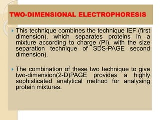  This technique combines the technique IEF (first
dimension), which separates proteins in a
mixture according to charge (PI), with the size
separation technique of SDS-PAGE second
dimension).
 The combination of these two technique to give
two-dimension(2-D)PAGE provides a highly
sophisticated analytical method for analysing
protein mixtures.
TWO-DIMENSIONAL ELECTROPHORESIS
 