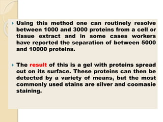  Using this method one can routinely resolve
between 1000 and 3000 proteins from a cell or
tissue extract and in some cases workers
have reported the separation of between 5000
and 10000 proteins.
 The result of this is a gel with proteins spread
out on its surface. These proteins can then be
detected by a variety of means, but the most
commonly used stains are silver and coomasie
staining.
 